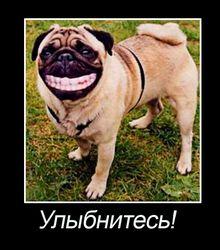 мыслим позитивно